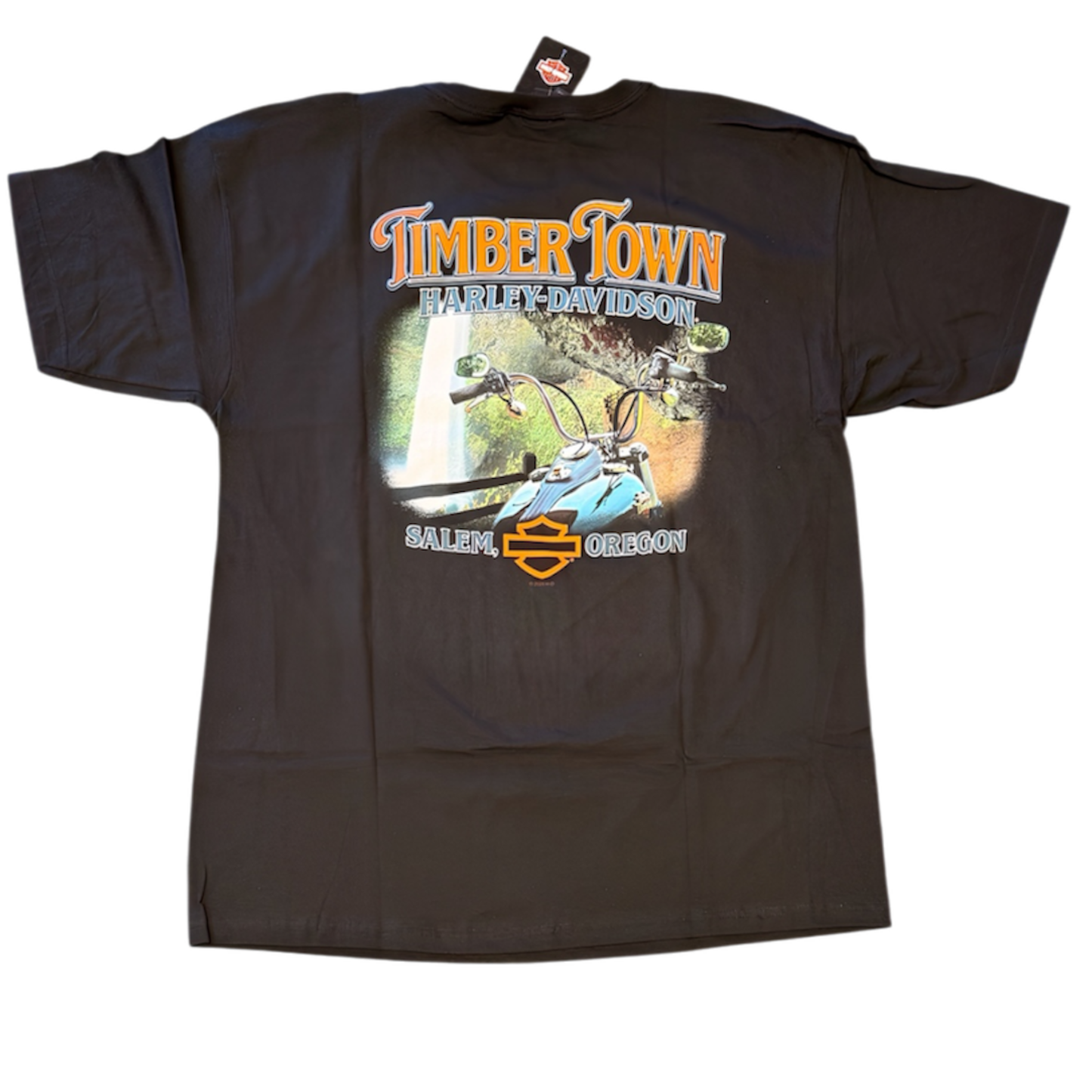 HD Troop Timber Town Harely-Davidson Mens Black T-Shirt