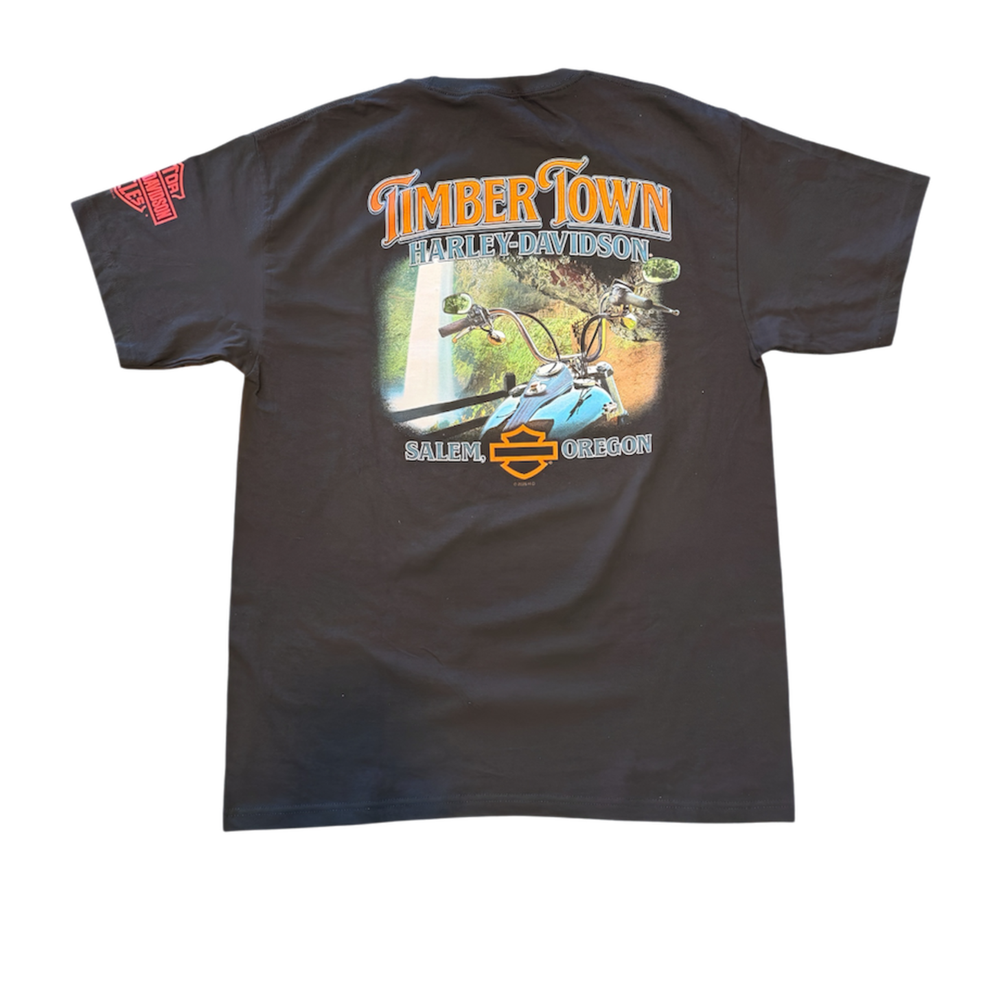 HD Eagle Knevil Timber Town Harley-Davidson Mens Black T-Shirt