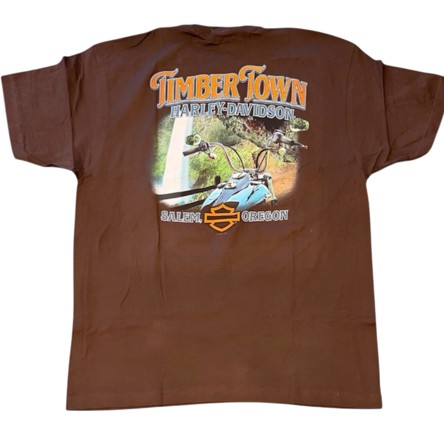 HD Petrol Timber Town Harley-Davidson Mens Brown T-Shirt